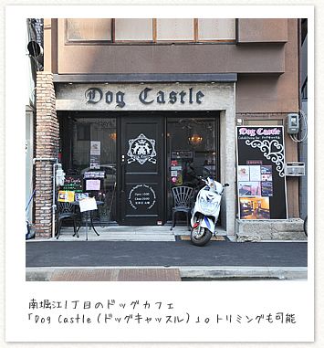 南堀江1丁目のドッグカフェ「Dog Castle」